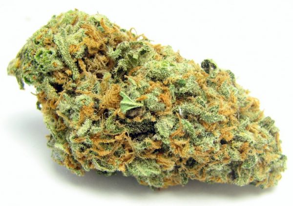 Achat Cannabis Green Crack Avec THC