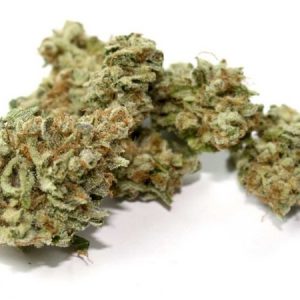 Achetez du cannabis 9 Pound Hammer en ligne